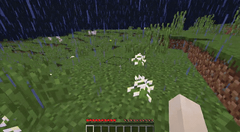 ForgeWM